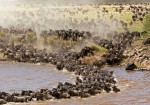 Masai Mara Game Reserve