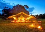 Elephant Pepper Camp