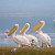 Lake Nakuru National Park