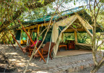 Losokwan Tented Camp , Masai Mara